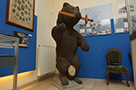 Niederösterreich 3D - Berndorf - Wehrbär Museum Berndorf