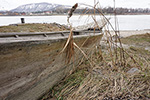 Niederösterreich 3D - Engelhartstetten -  Zille