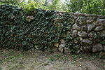 Niederösterreich 3D - Haslau-Maria Ellend - Steinmauer