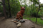 Niederösterreich 3D - Hollabrunn - Cool Cat