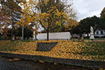 Niederösterreich 3D - Langenlois - Herbst