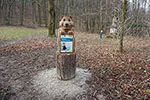 Niederösterreich 3D - Mannersdorf am Leithagebirge - Naturpark-Maskottchen