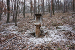 Niederösterreich 3D - Senftenberg - Futterhäuschen