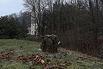 Niederösterreich 3D - Wolfsgraben - Baumstumpf