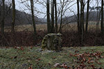 Niederösterreich 3D - Wolfsgraben - Baumstumpf